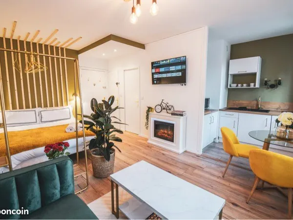 Studio 25 m2 entièrement rénové