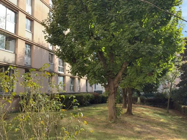Appartement 3 pièces 50 m²