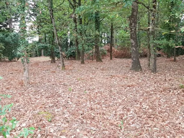 Notre Dame De Riez terrain constructible 591 m2