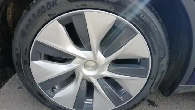 Tesla Model Y standard rwd — photo 15