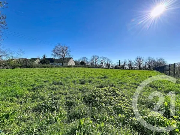 Terrain 3031 m²