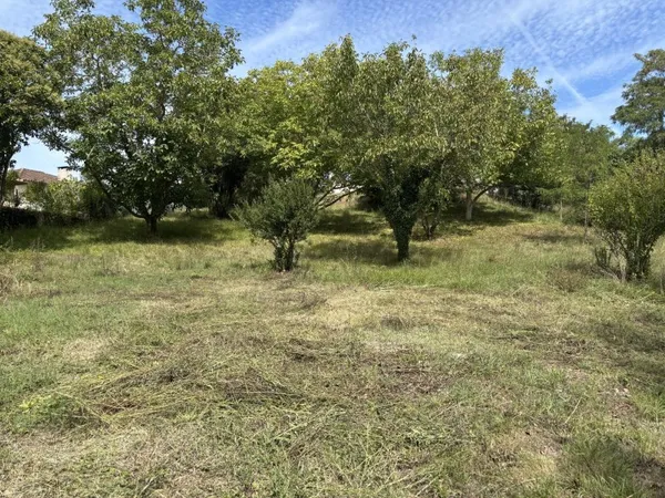 Grand terrain constructible