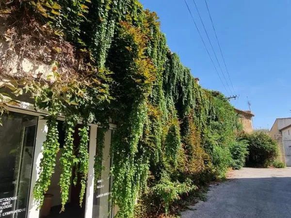 Local professionnel 145 m²