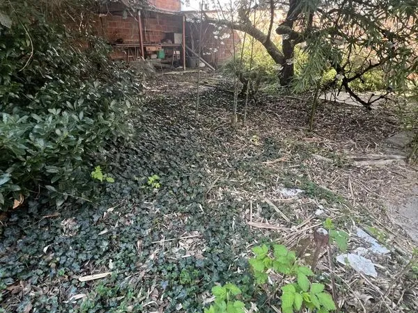 Terrain 238 m² Le Perreux-sur-Marne