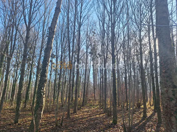 Investissement forestier et agricole de 141 ha