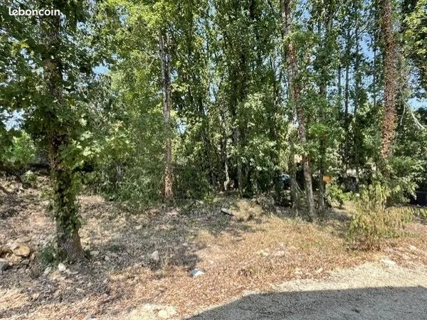 Terrain constructible arboré