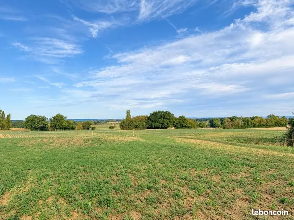 Terrain 1 584 m² Dommartin