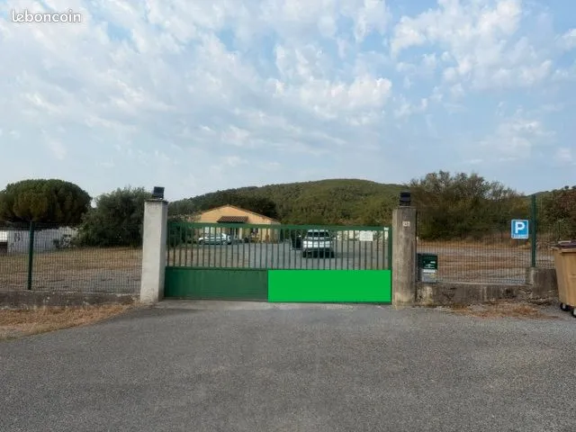 Photo 3