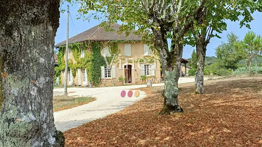 Terrain 520000 m²