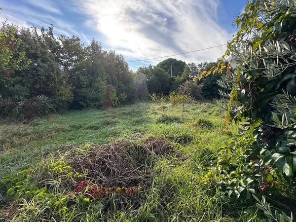 Terrain 658 m²