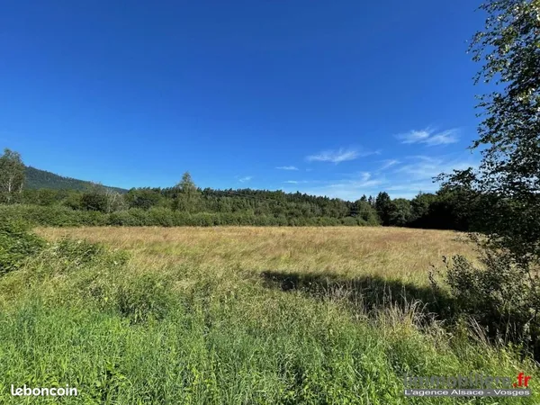 Terrain 4 259 m² Saulcy Sur Meurthe