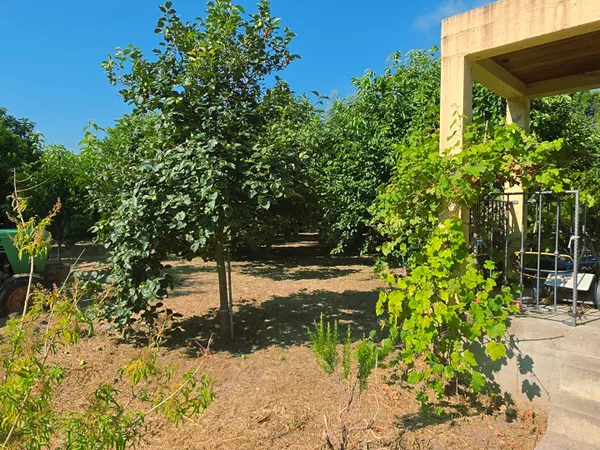 À VENDRE Ensemble immobilier avec fort potentiel de rentabilité
