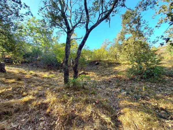 Terrain 547 m²