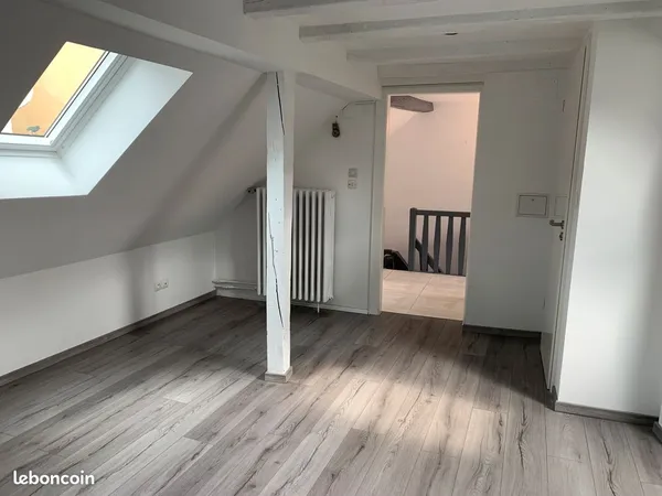 Part loue grand F1 avec terrasse Petite France