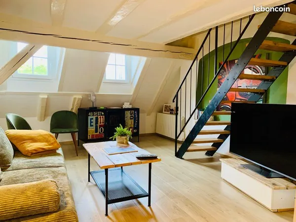 F2 duplex de charme place du Corbeau