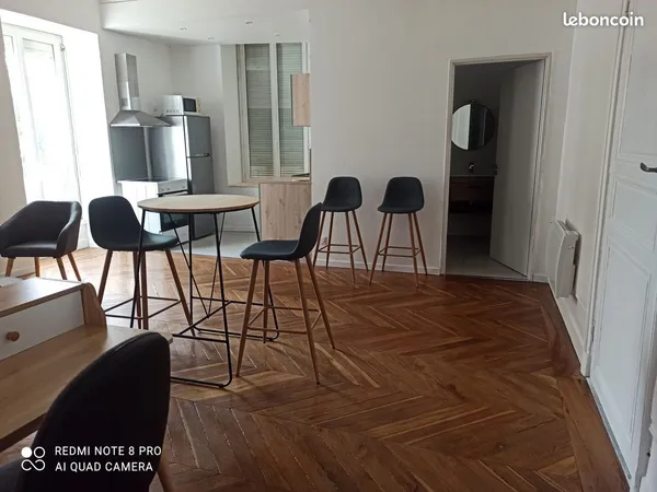 Studio lumineux refait à neuf - Annonay centre