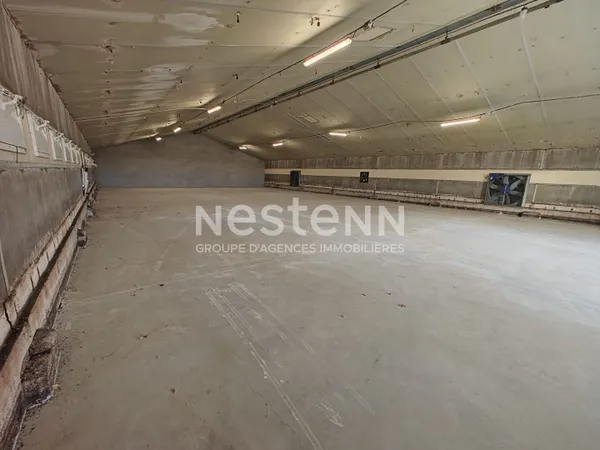 À vendre. Ensemble de 4 cellules d'activités; 2 000 m² sur terrain de 8 000 m²