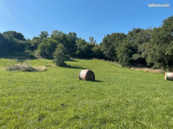 Terrain Constructible