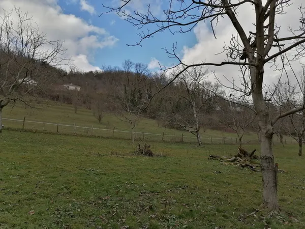 Terrain en individuel 970 m²