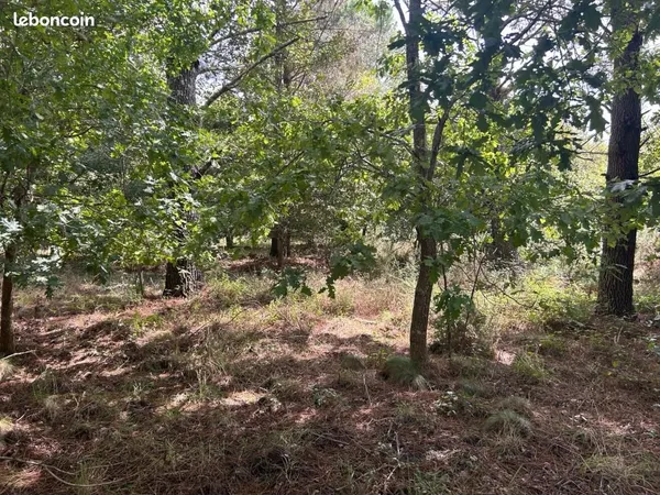 Terrain 5 000 m² Gastes