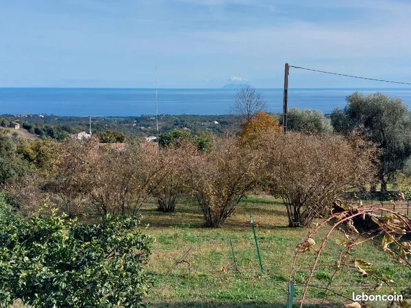 Terrain Cervione