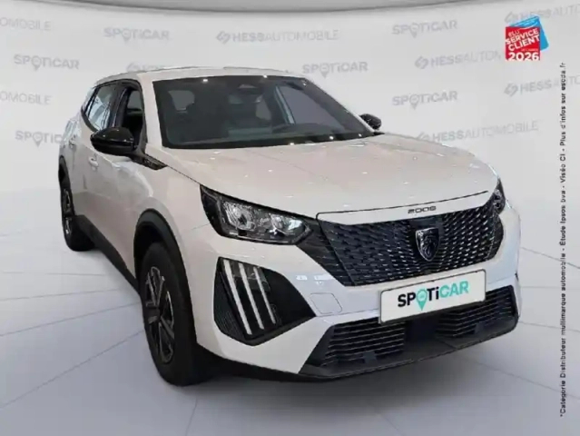 Peugeot 2008 e- 156ch style — photo 18