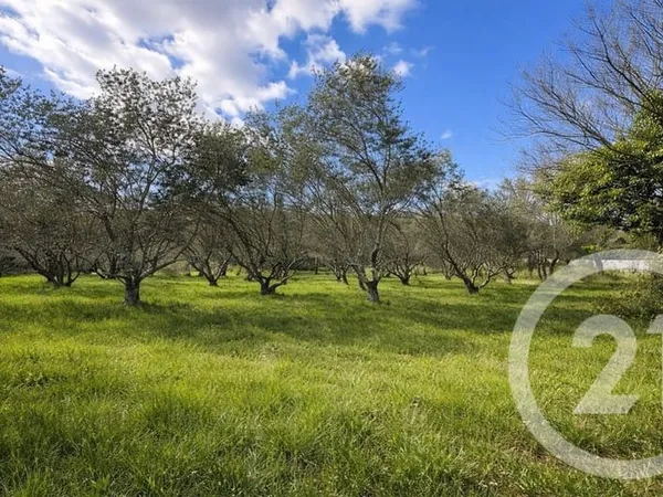 Terrain 1852 m²
