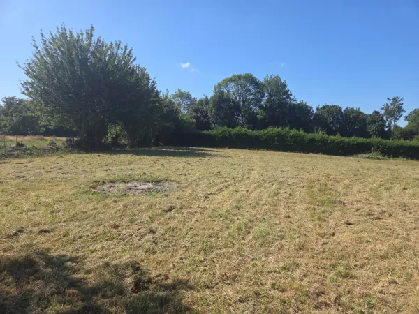 Terrain 3211 m²