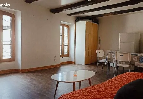 Joli studio meublé de 35m2, lumineux, plein centre ville de Figeac