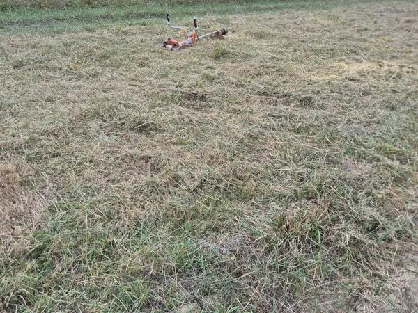 Terrain agricole