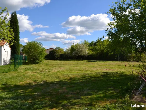Terrain constructible