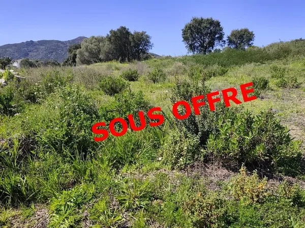 Terrain à bâtir Vente Ajaccio  1037m² 295000€
