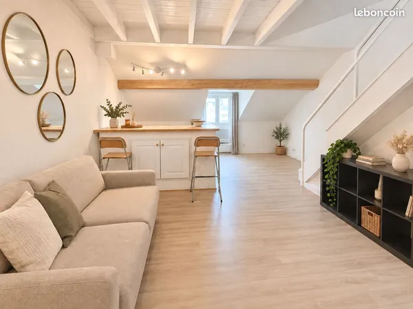 DUPLEX DE CHARME - 44,70 m² AU SOL - ÎLE FEYDEAU - PLEIN SUD