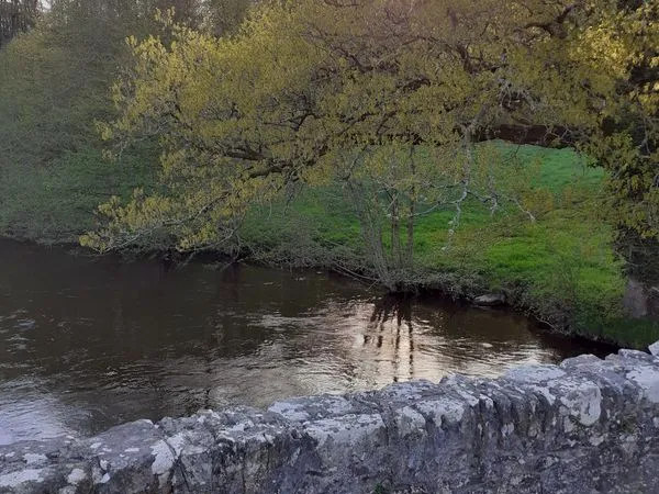Terrain d'agrément sur les rives de la Gartempe-Rancon-Haute-Vienne
