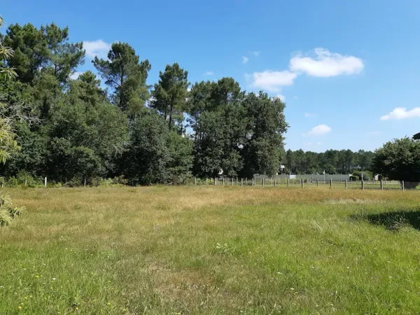 Maison neuve 4 pièces 89 m²