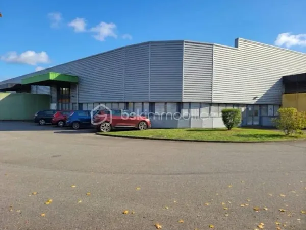 Local 3 pièces 232 m²