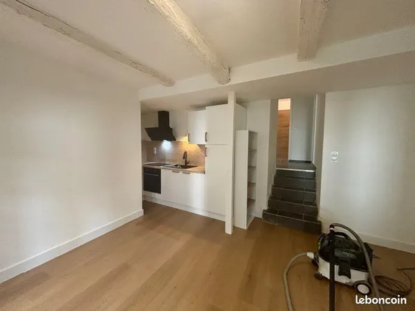 Location appartement T2 entierement rénové 50m2
