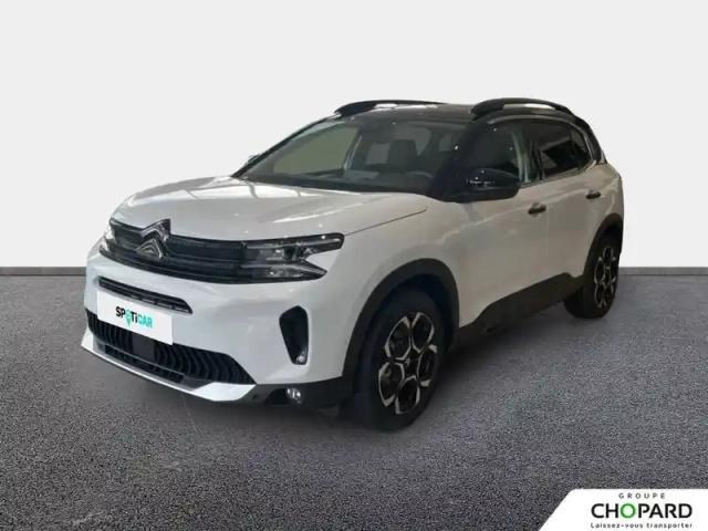 Citroën C5 Aircross bluehdi 130 eat8 — photo 43