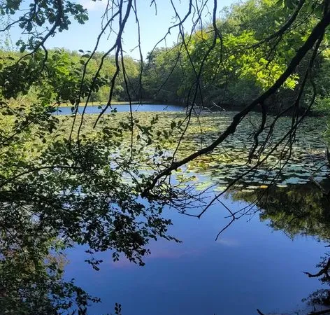 Amis agriculteurs et agricultrices je suis a la recherche d'un plan d'eau pour l'usage de la pêche l