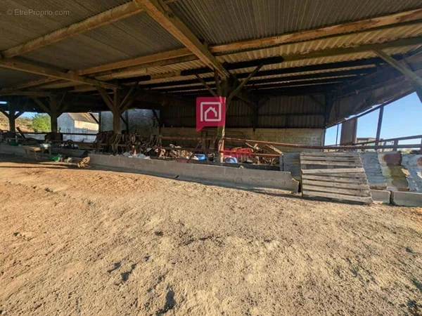 Ensemble de bâtiments anciens à rénover ? Projet de vie ou d'investissement sur 4200 m²