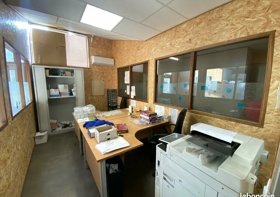 Photo 5