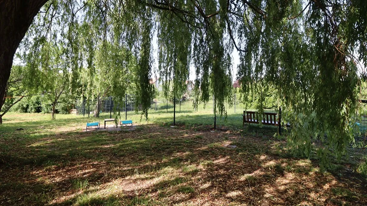 Photo 13