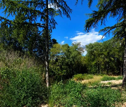 Terrain 1200 m²