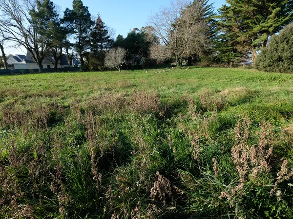 Terrain 1151 m²