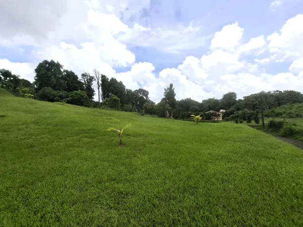 Terrain 4435 m²