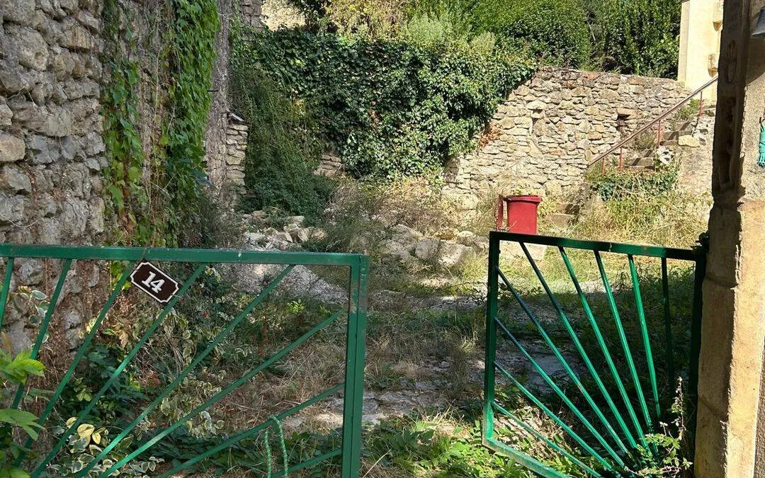 Photo 3