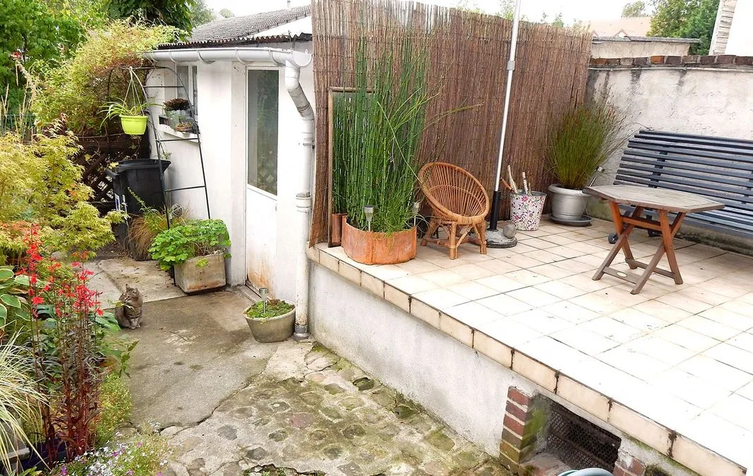 Photo 5