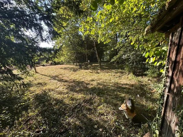 À vendre - Terrain à bâtir de 1021 m2 avec piscine existante et terrasse bois
