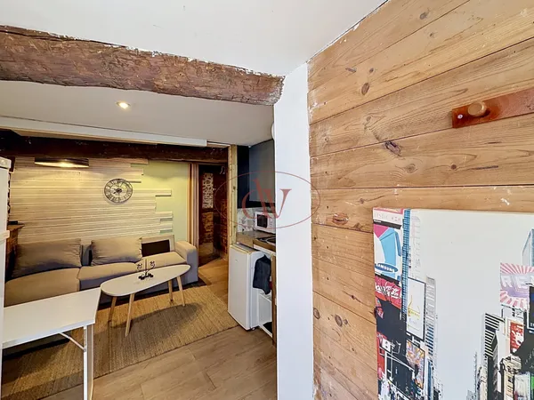 Studio meublé au coeur de Palau-del-Vidre