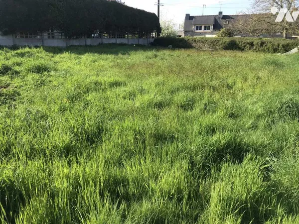 Terrain 730 m²